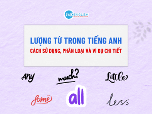 Lượng từ trong tiếng Anh: cách sử dụng, phân loại và ví dụ chi tiết